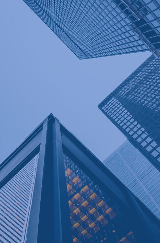 公司、企业集团、政府